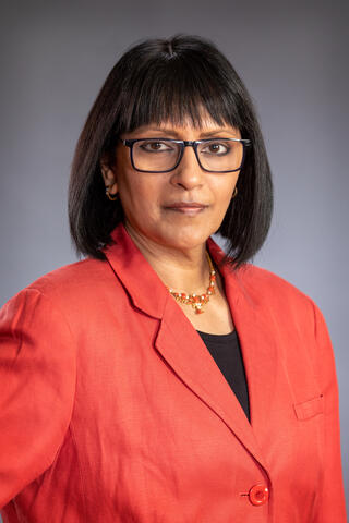 s. ramani headshot 2022