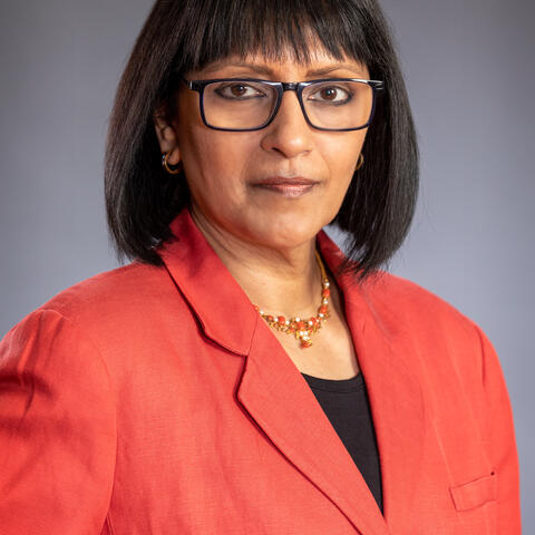 s. ramani headshot 2022