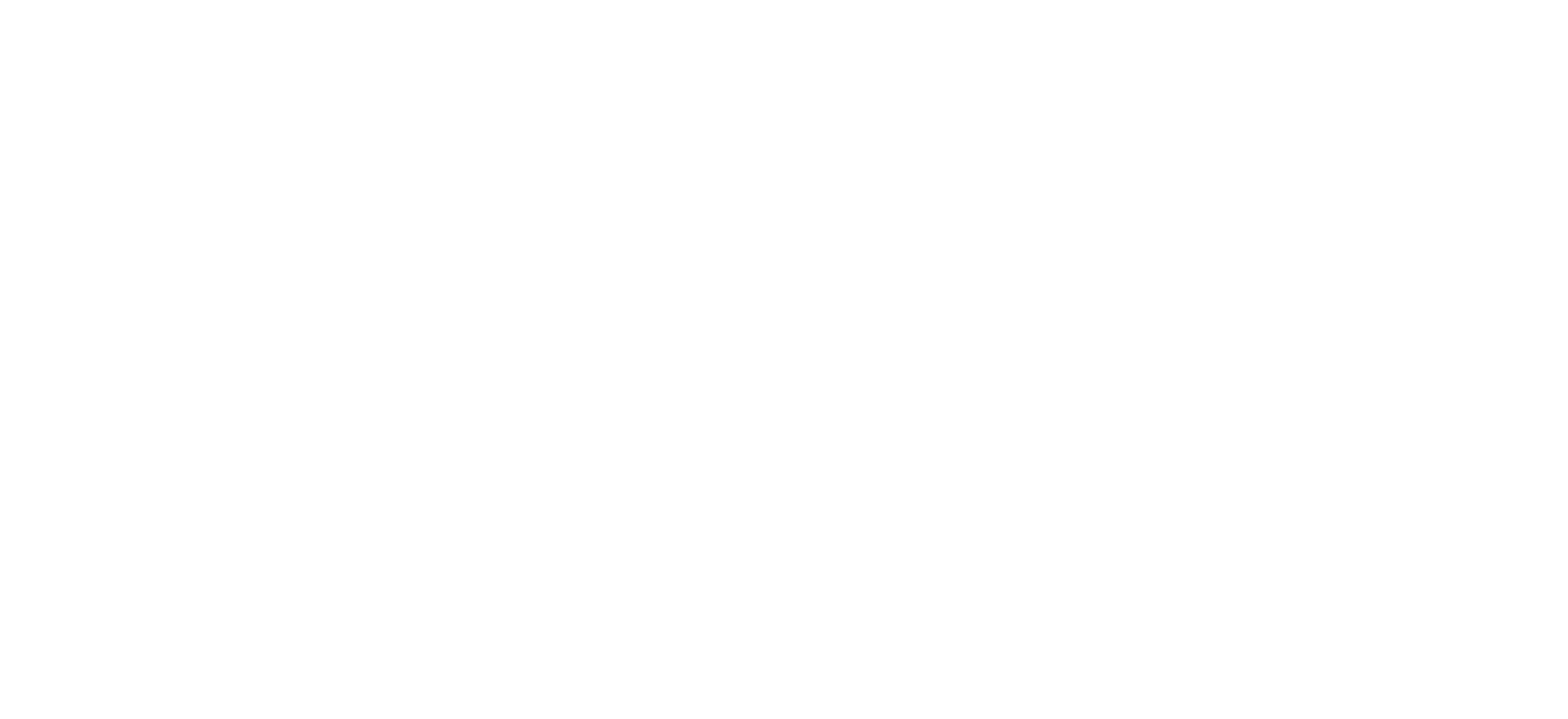 BEI White Text Logo